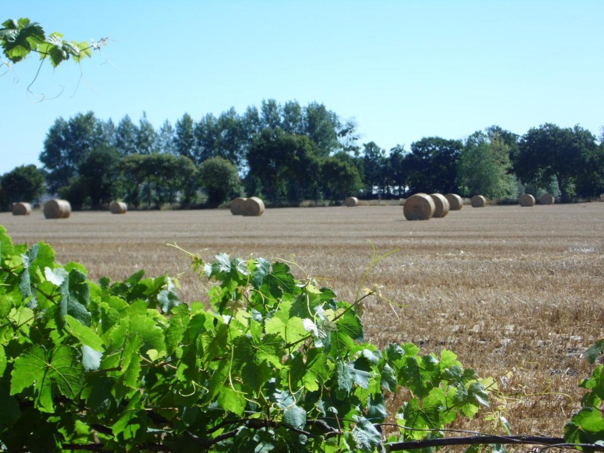 Gite A La Ferme En Pleine Nature Εξωτερικό φωτογραφία